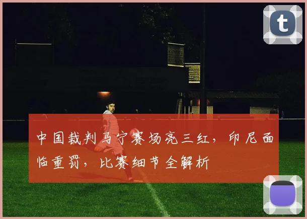 中国裁判马宁赛场亮三红，印尼面临重罚，比赛细节全解析