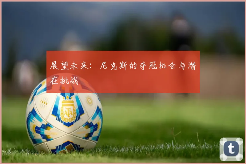展望未来：尼克斯的夺冠机会与潜在挑战