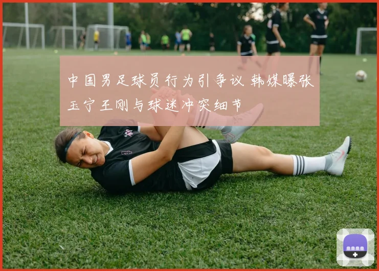 中国男足球员行为引争议 韩媒曝张玉宁王刚与球迷冲突细节